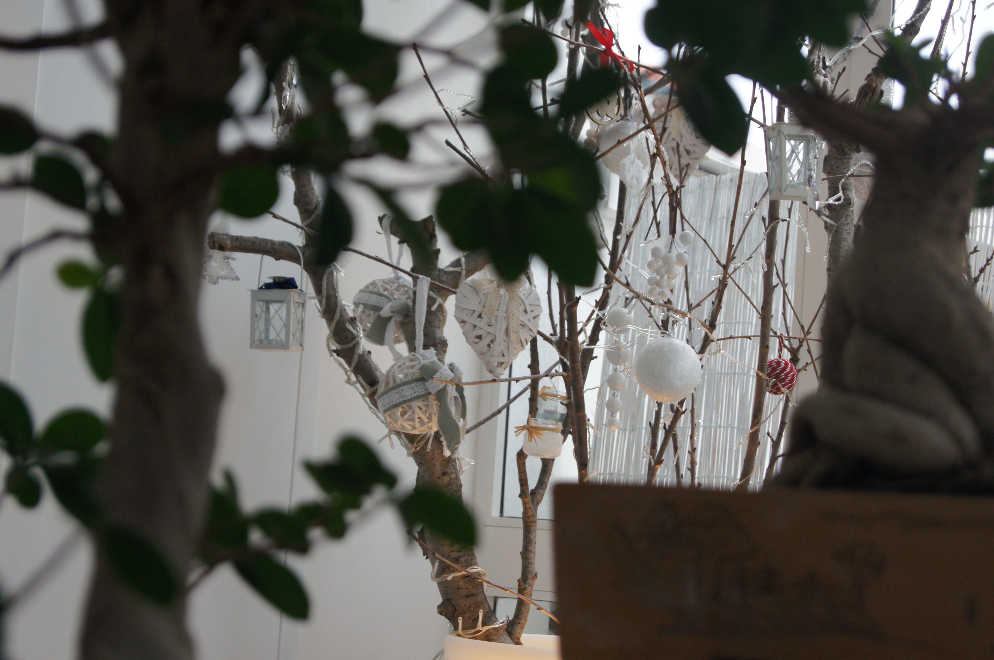 Un árbol con ramas adornadas con varios adornos, incluyendo decoraciones esféricas blancas y rojas y un farol.