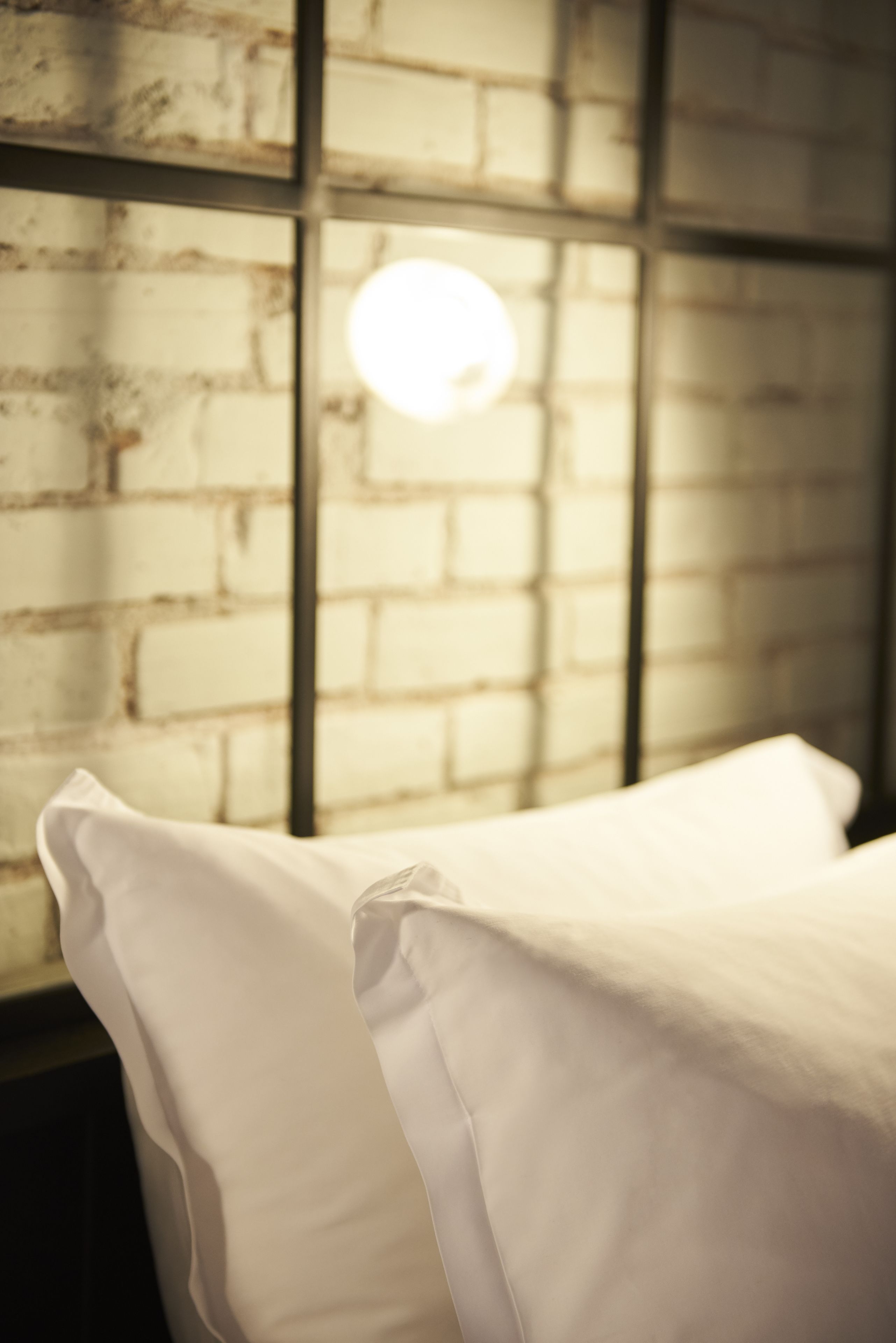 Foto - Magnova Studios