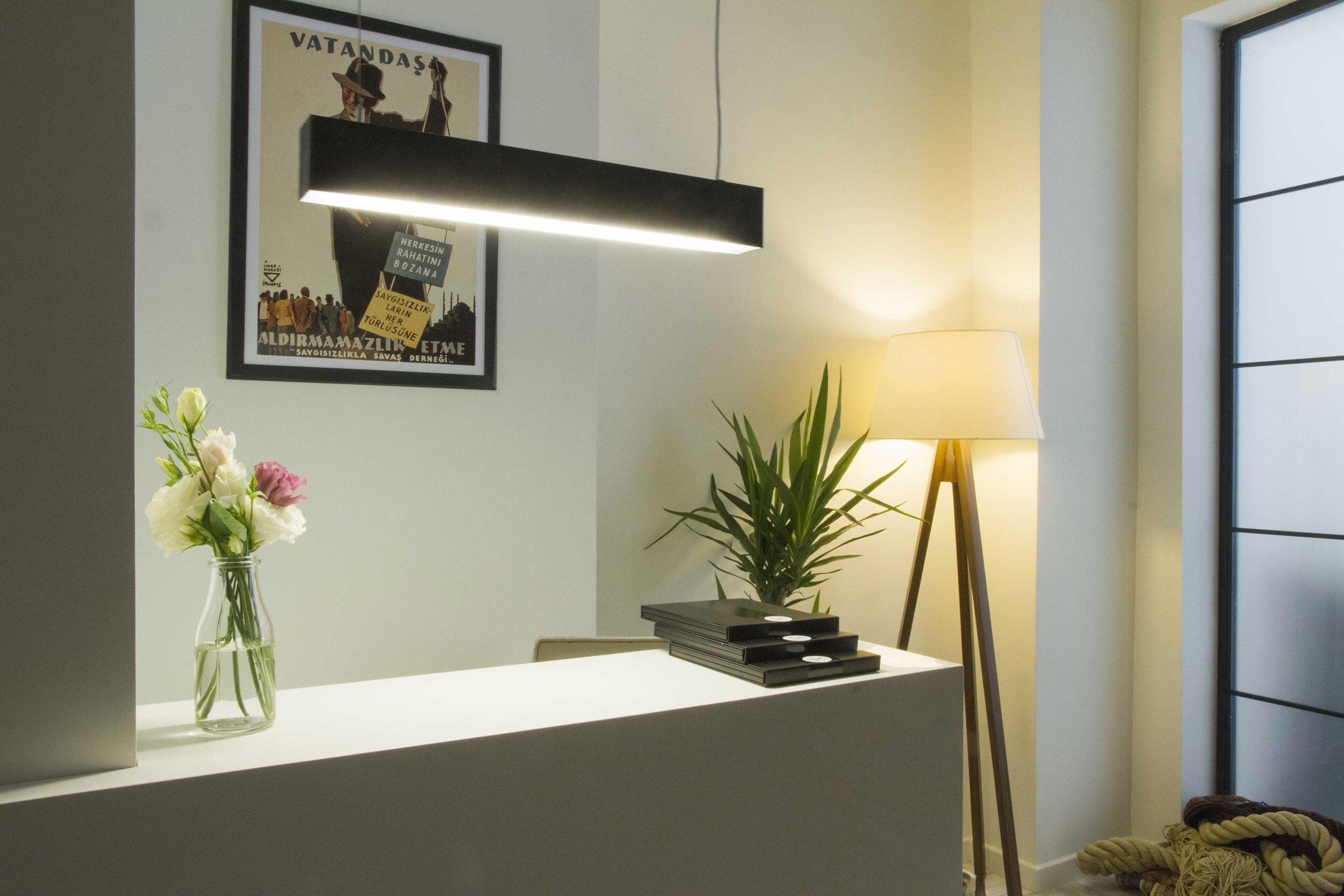 Foto - Magnova Studios