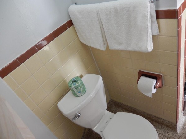 Une petite salle de bain avec des toilettes, une serviette accrochée au mur et un porte-rouleau de papier toilette.
