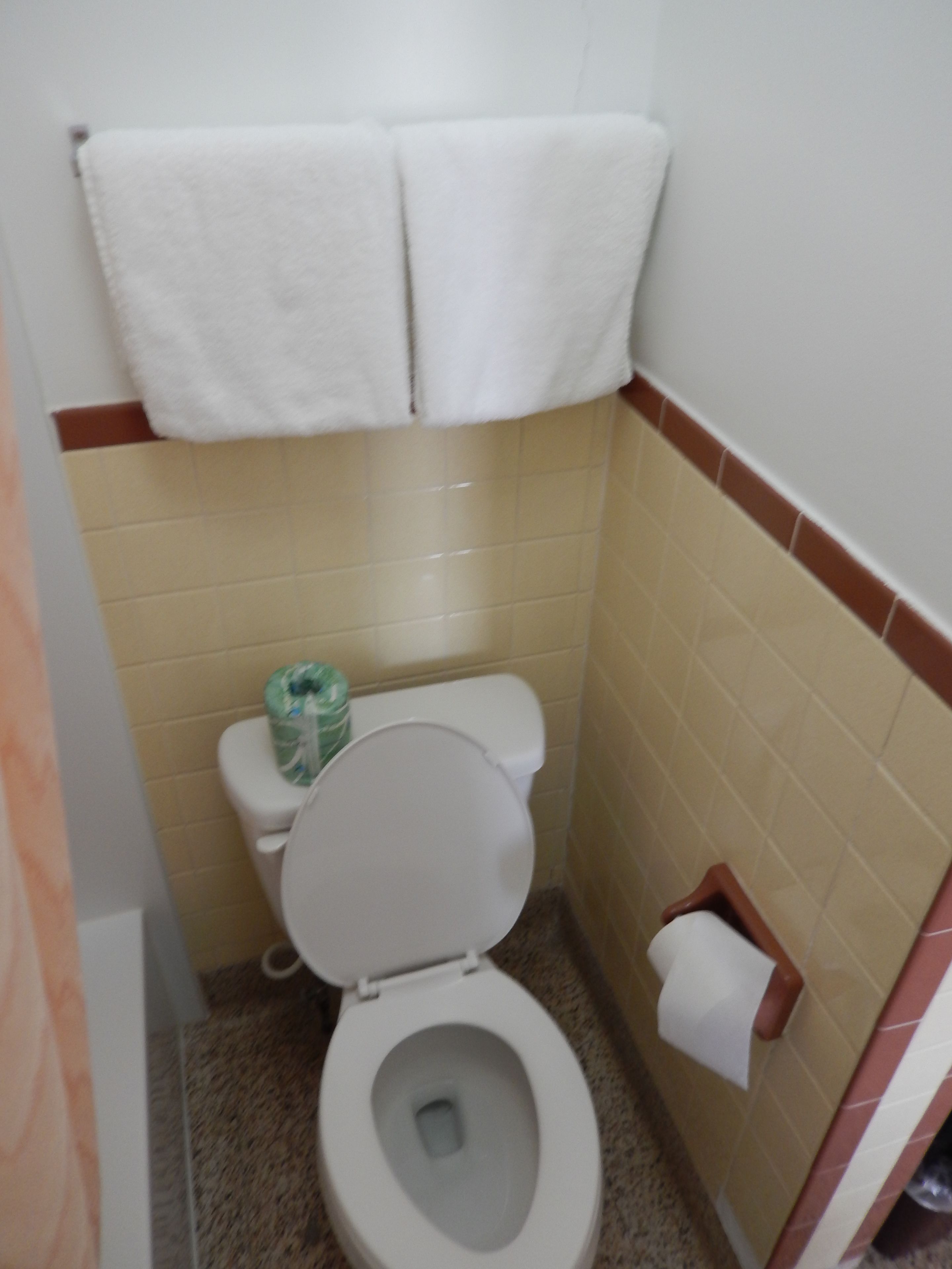 Un baño pequeño con inodoro, un perchero sobre el inodoro y un dispensador de papel higiénico en la pared.