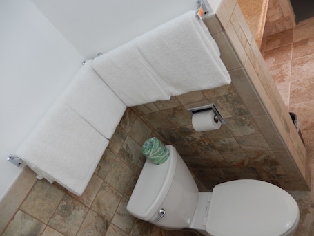 Combined shower/tub. Townsman Motel