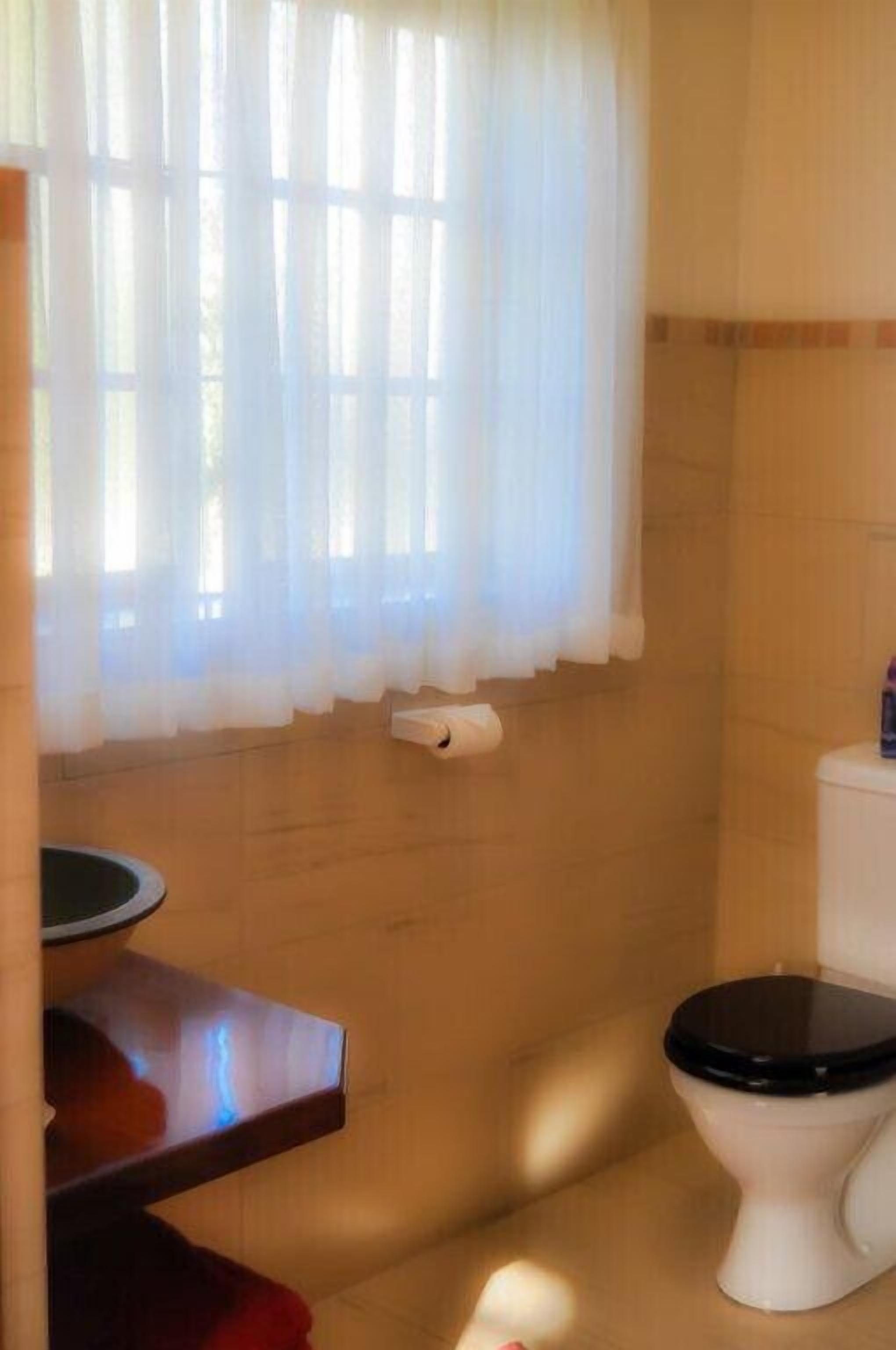 A bathroom with a toilet, a sink with a mirror, and a window with sheer curtains.