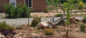 Stone Lizard Vacation Rentals