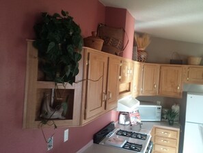 Private kitchen - Stone Lizard Vacation Rentals (Bluff)