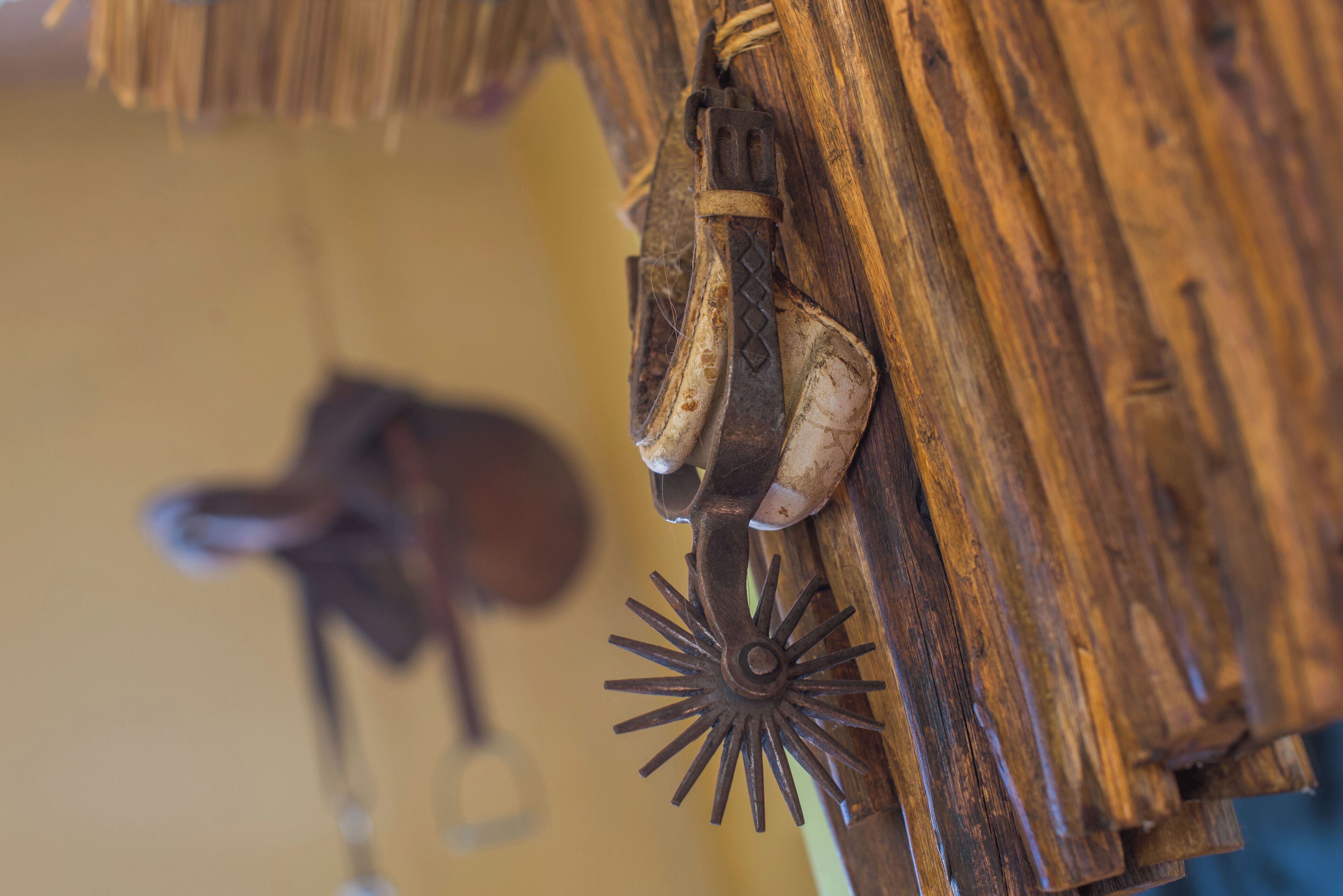 Foto - Apassionata Tango Hotel