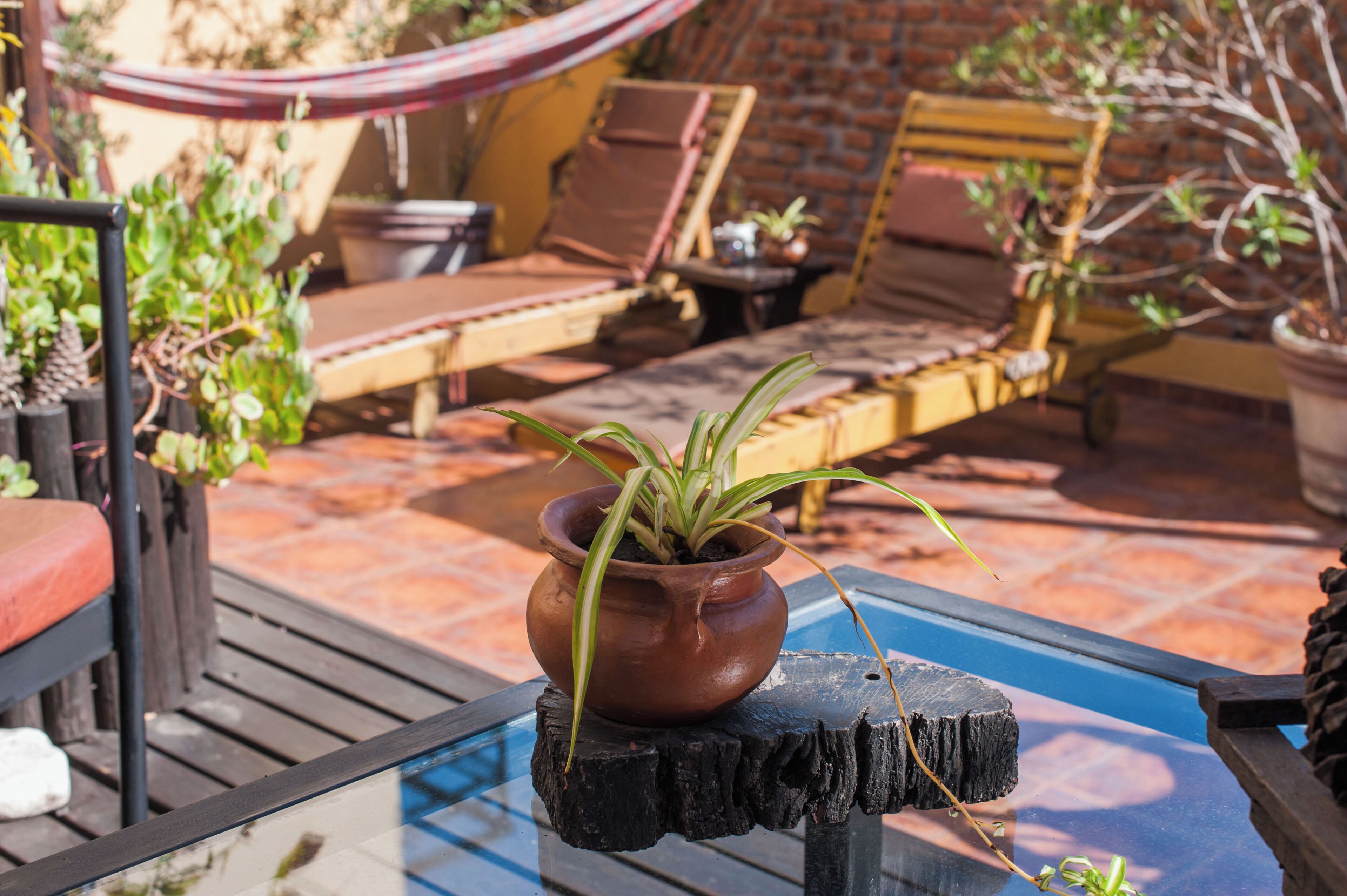 A patio area with a glass table, a potted plant, and outdoor furniture including a hammock and lounge chairs.