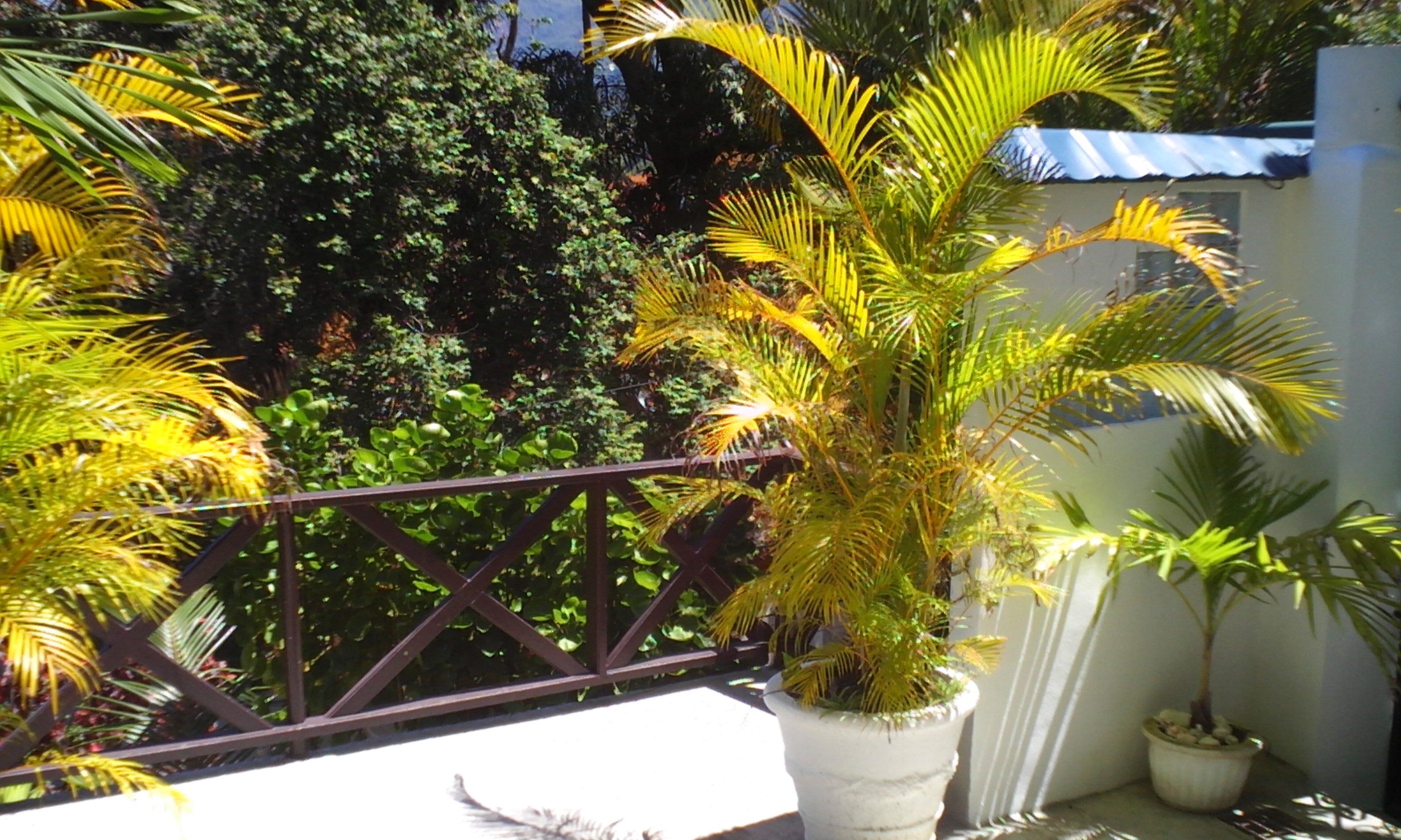 Foto - CHEZ LORNA 3 nights or plus