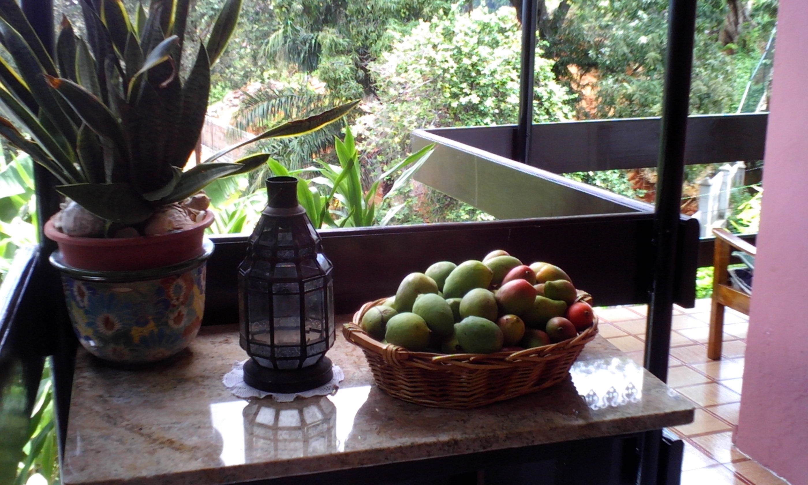 Foto - CHEZ LORNA 3 nights or plus