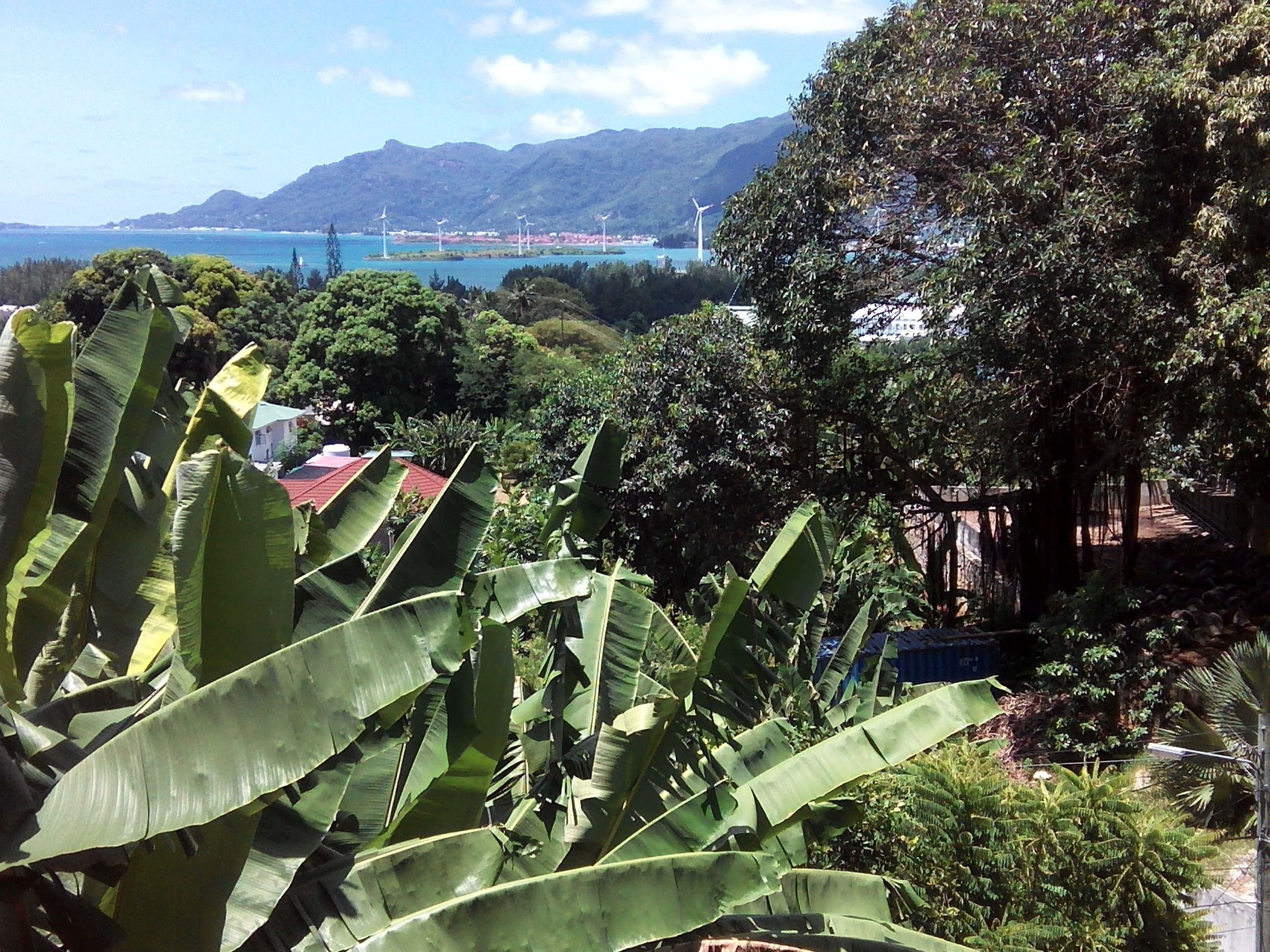 Foto - CHEZ LORNA 3 nights or plus