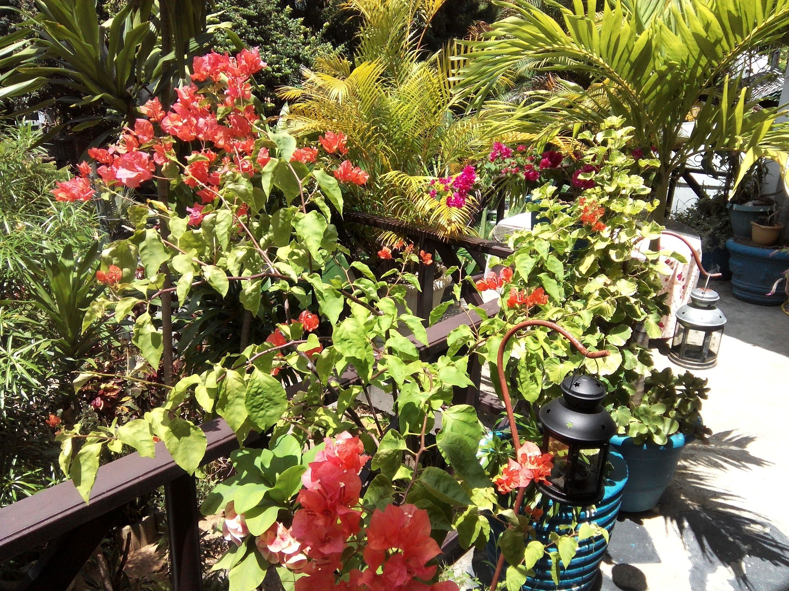 Photo - CHEZ LORNA 3 nights or plus