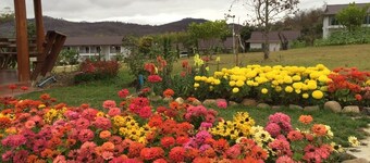 Phu Pai Kaew Resort
