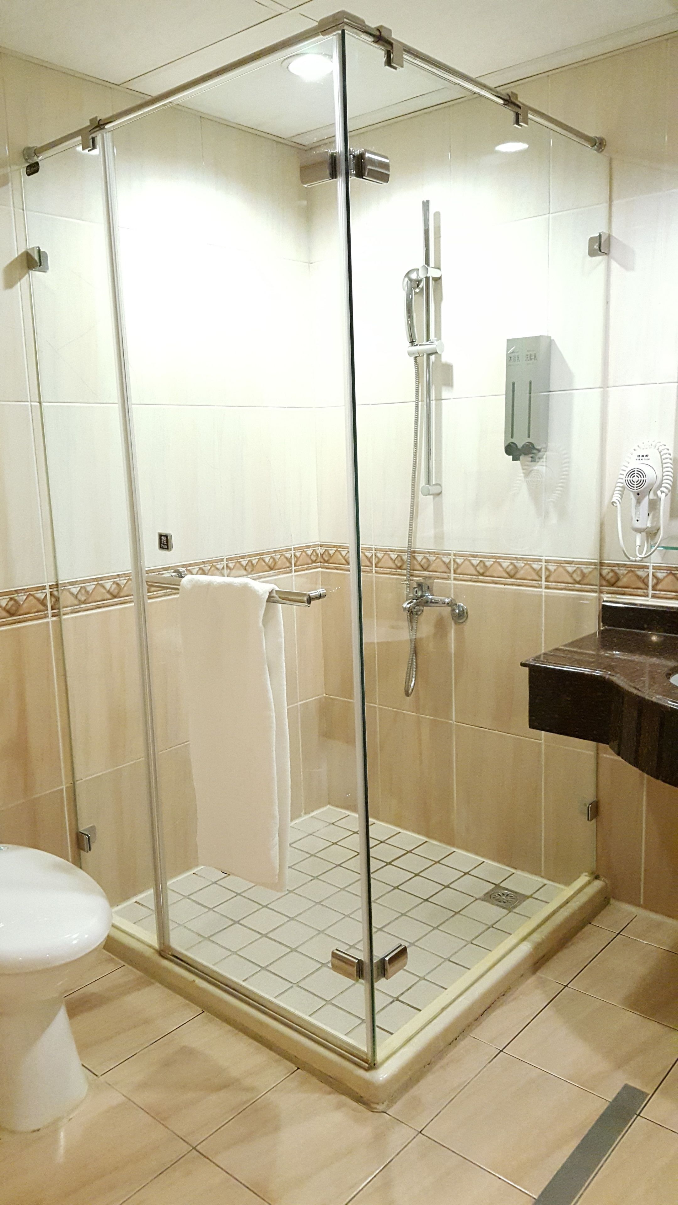 A shower with a glass door, a white toilet, and a tiled floor.