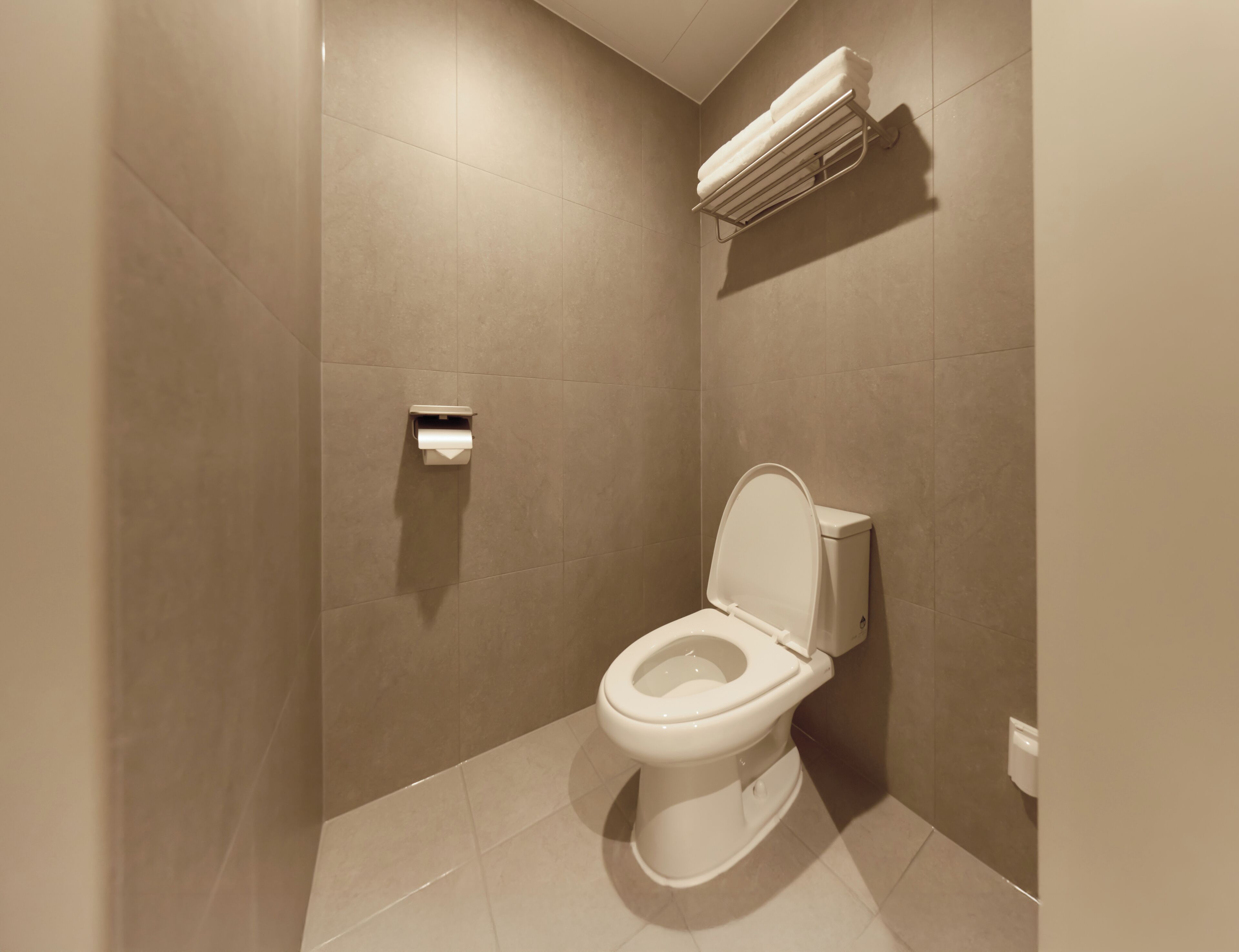 Een moderne badkamer met toilet, handdoekhouder en keukenrolhouder.