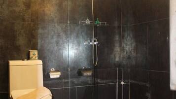 Un baño con ducha acristalada, inodoro y lavabo.