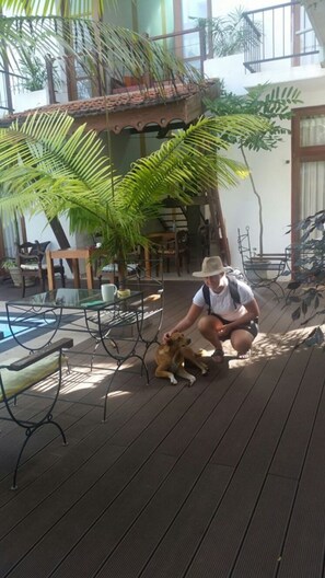 Outdoor pool, sun loungers