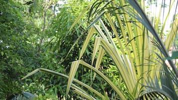 Jardín