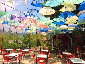 Breakfast, lunch, dinner and brunch served - Montri Garden House (Pai)