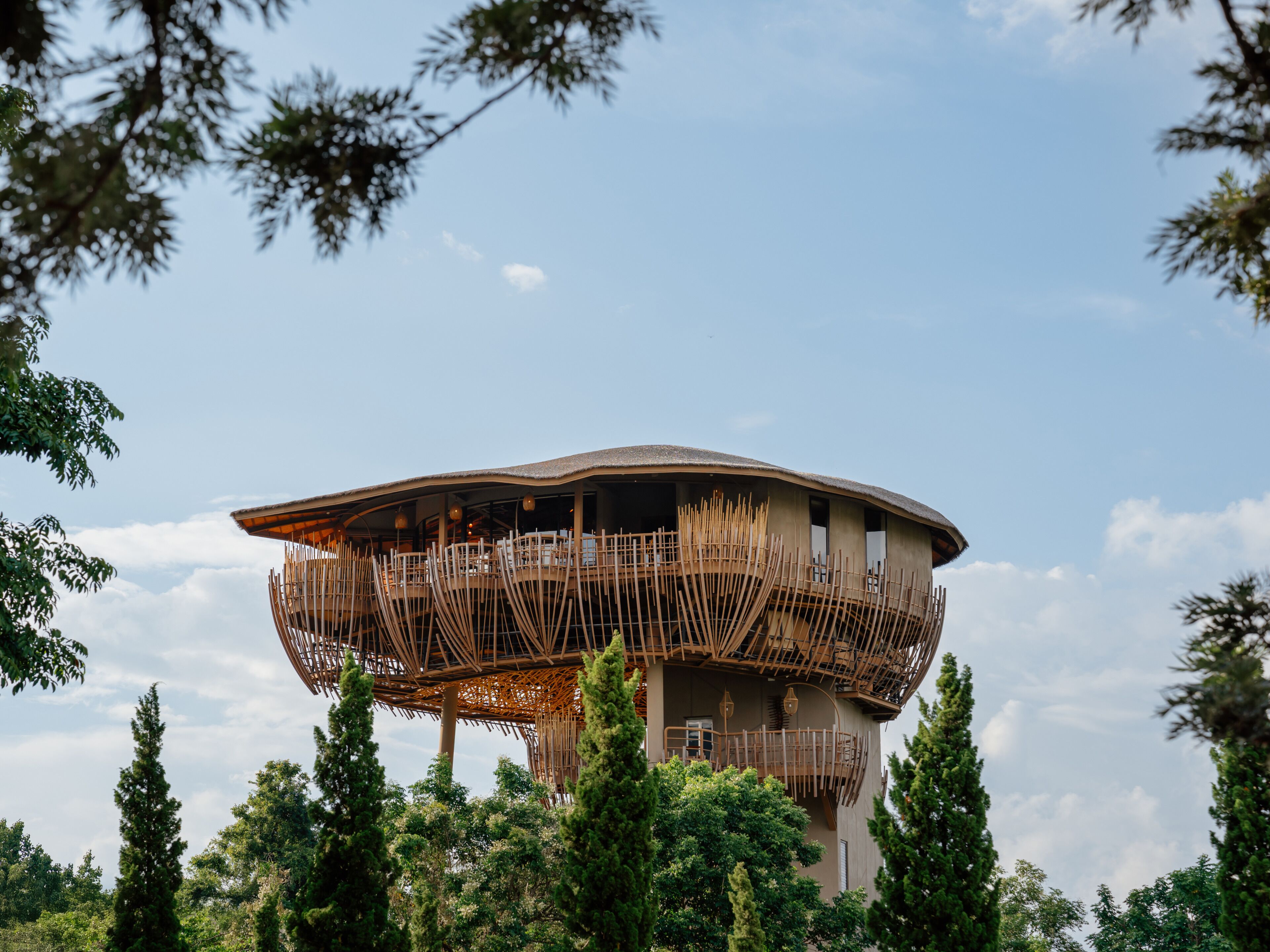Un hotel árbol único con estructura de madera curvada, varios balcones y rodeado de abundante follaje.