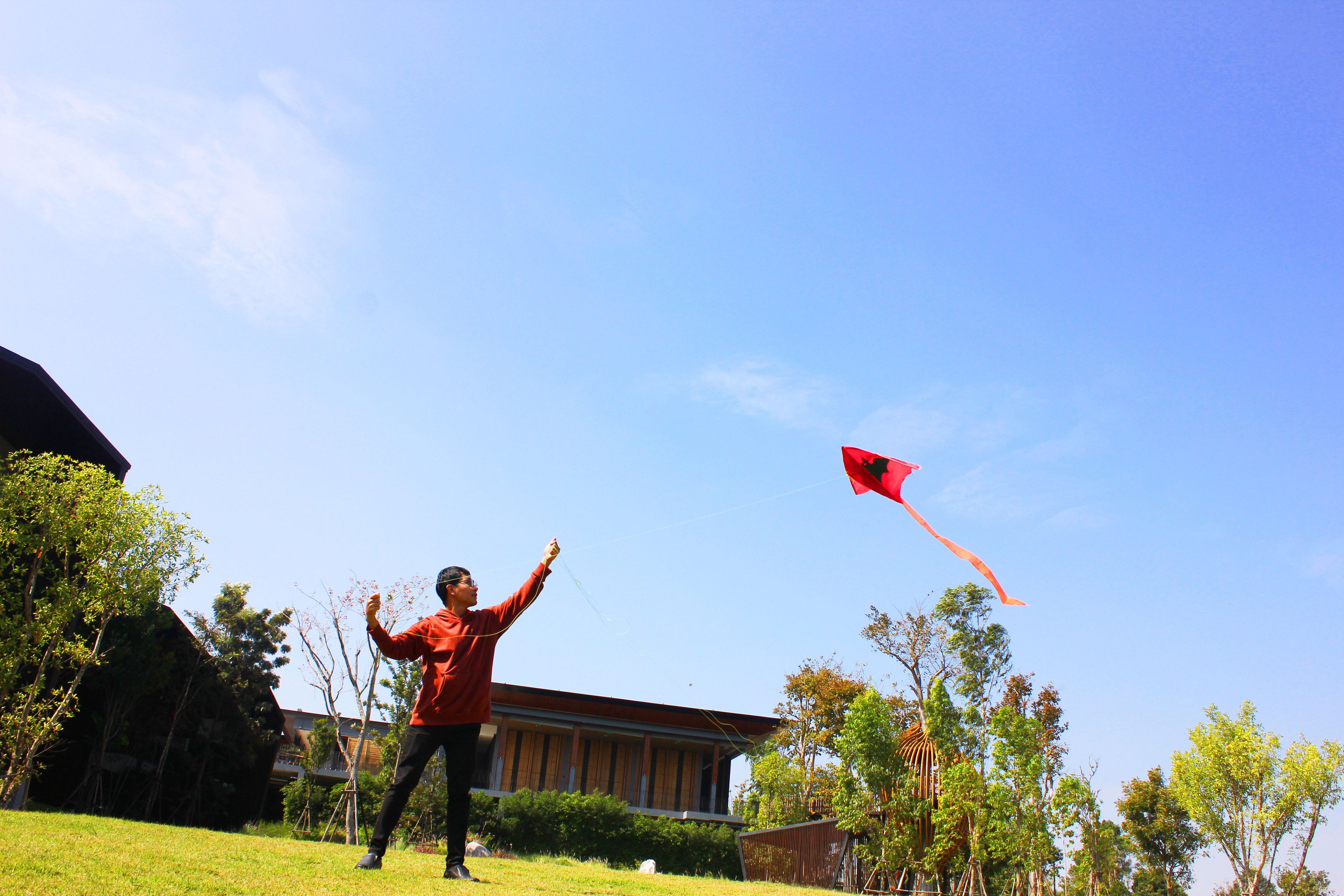 A person flying a kite in a grassy area with trees and a building in the background.