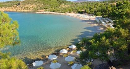 Royal Paradise Beach Resort & Spa