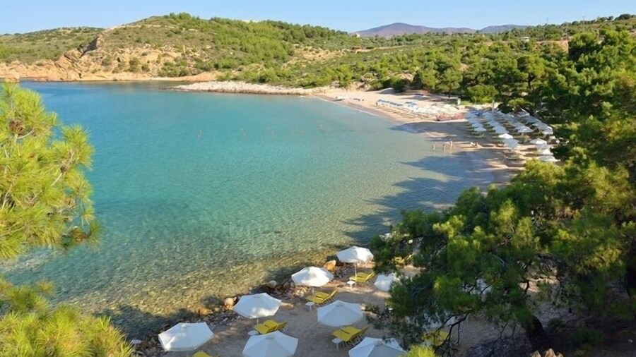 Royal Paradise Beach Resort & Spa