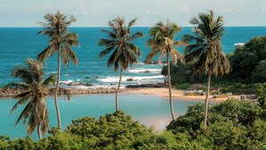 Una playa con palmeras y barcos.