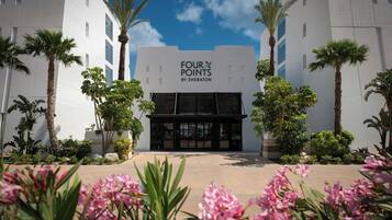 Vista des de l'allotjament