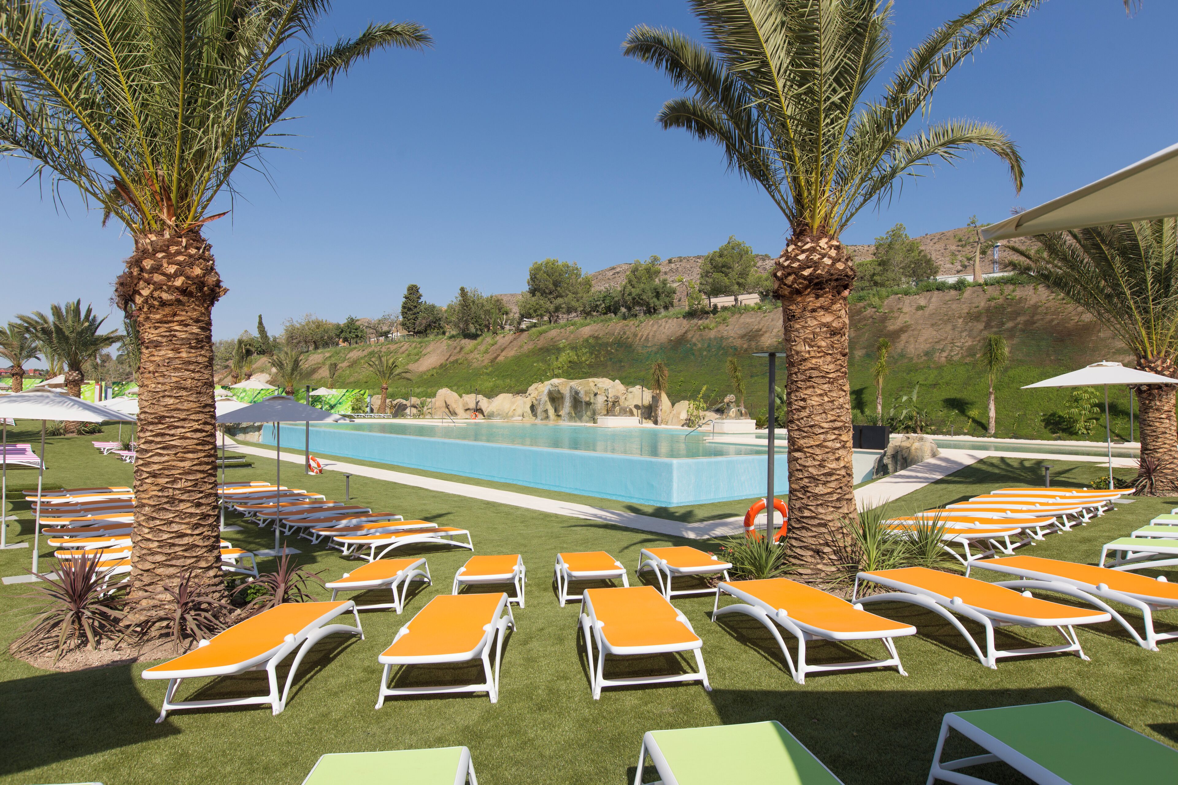 Un espace aménagé au bord de la piscine, avec des chaises longues, des palmiers et une vue dégagée sur la piscine.