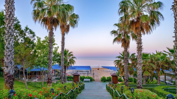 Un sendero que lleva a una zona de playa con palmeras y flores rojas.