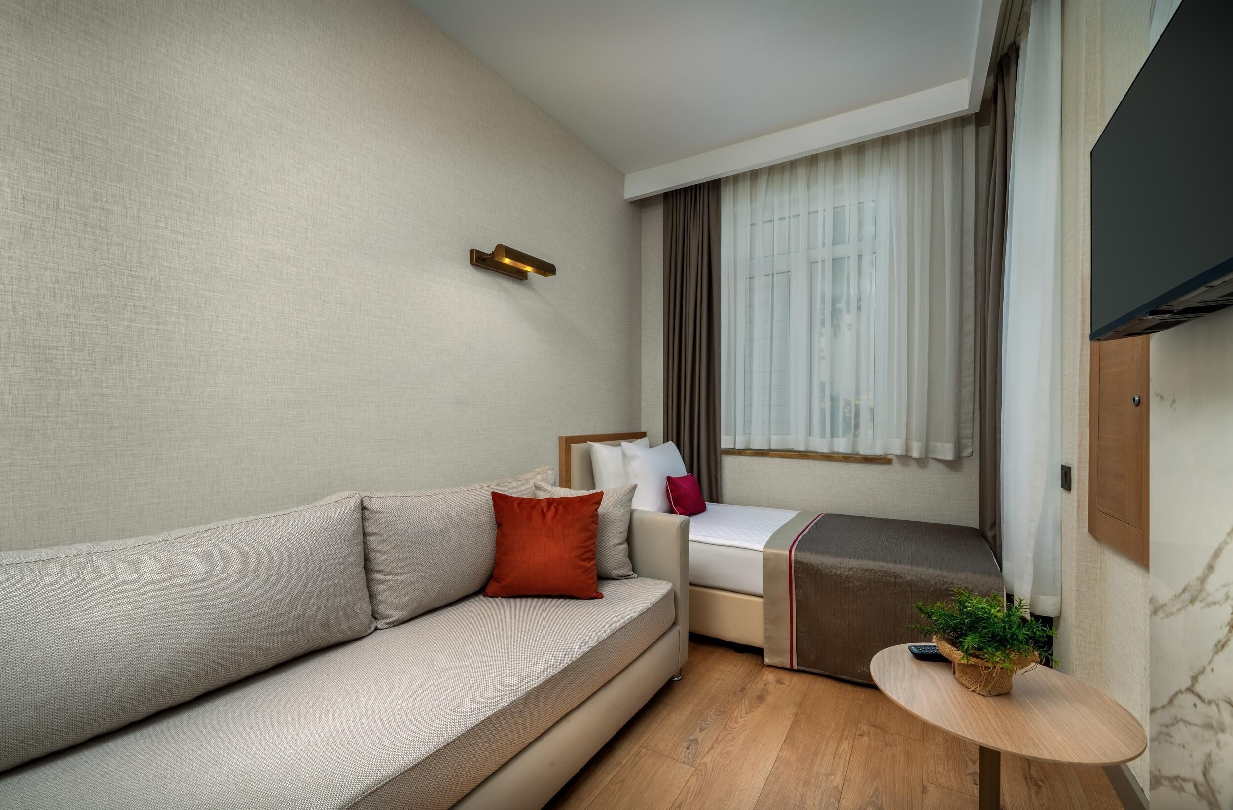 A modern hotel room with a sofa, a bed, a small table with a plant, and a TV mounted on the wall.
