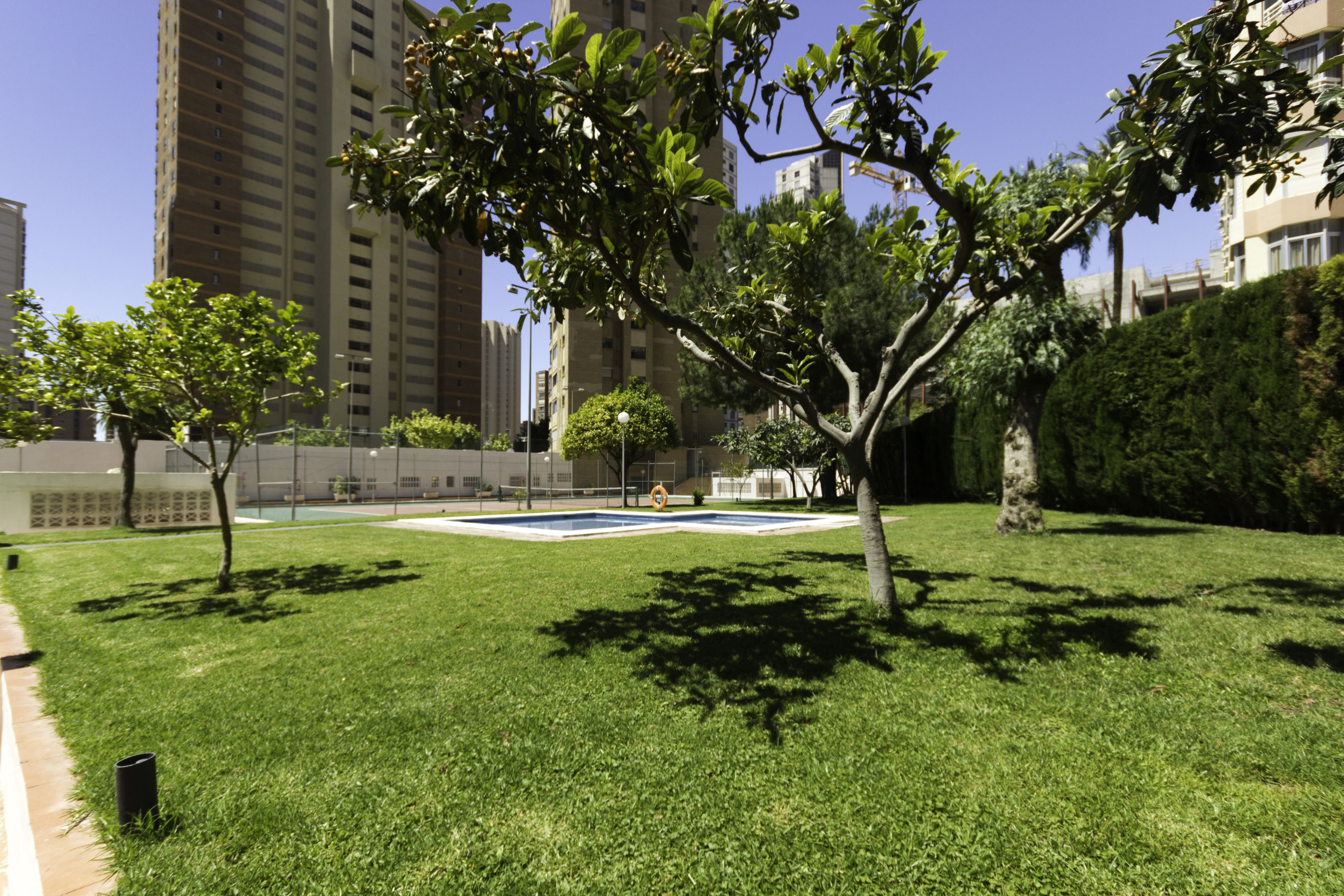 Jardín