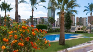A pool area with palm trees and a building in the background. - APARTAMENTOS GEMELOS 20 - BENINTER (Benidorm)