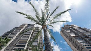 A tall palm tree in front of a high-rise building with multiple floors and windows. - APARTAMENTOS GEMELOS 20 - BENINTER (Benidorm)