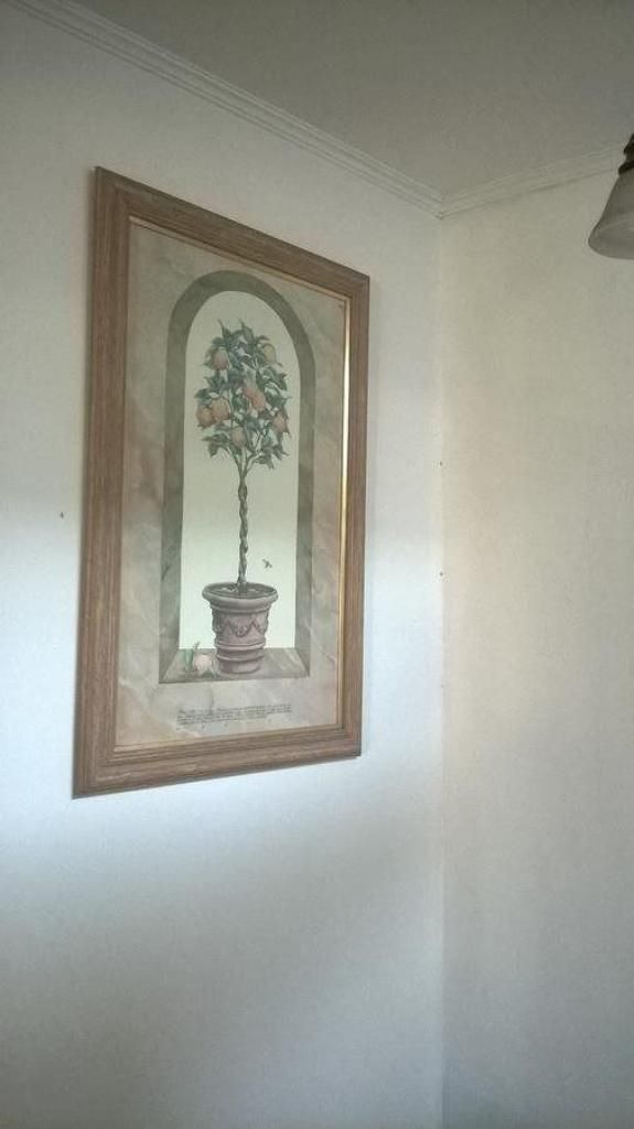 Una obra de arte enmarcada que muestra una planta en maceta sobre una pared.