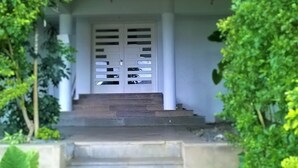 A white door with horizontal slats and a small dog visible through the window.