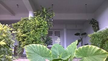Jardim