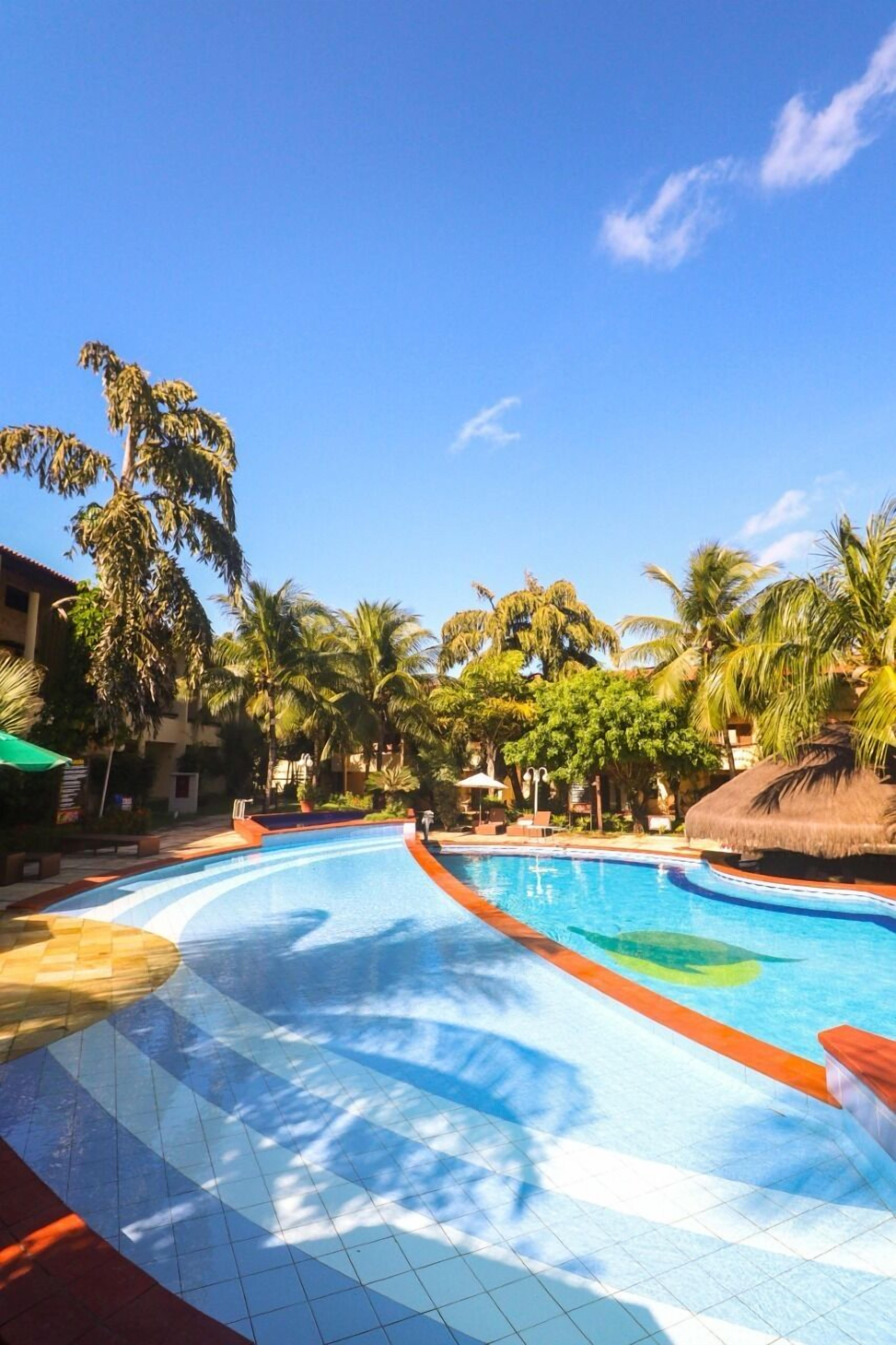 Una piscina con borde de baldosas, rodeada de palmeras y un cielo azul despejado.