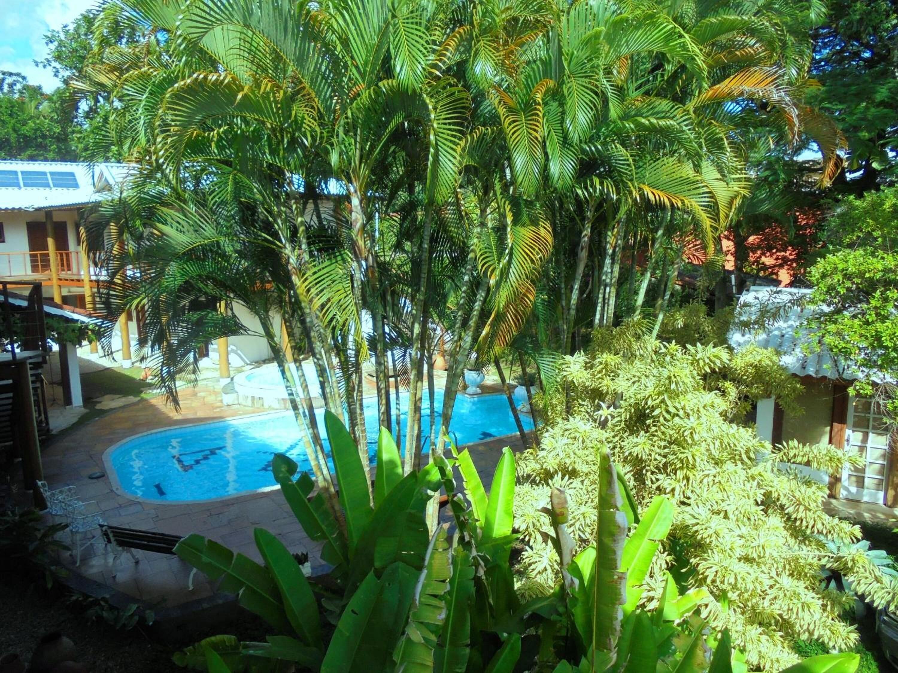 Une piscine entourée d’une végétation luxuriante et un bâtiment doté d’un balcon.