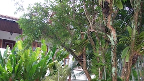 A lush garden with large tropical plants, a stone pathway, and a building with traditional architecture in the background. - Pousada Náutilus (Ilhabela)