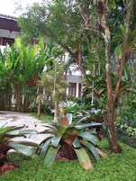 Un exuberante jardín con plantas tropicales grandes, un sendero de piedra y un edificio con arquitectura tradicional al fondo.
