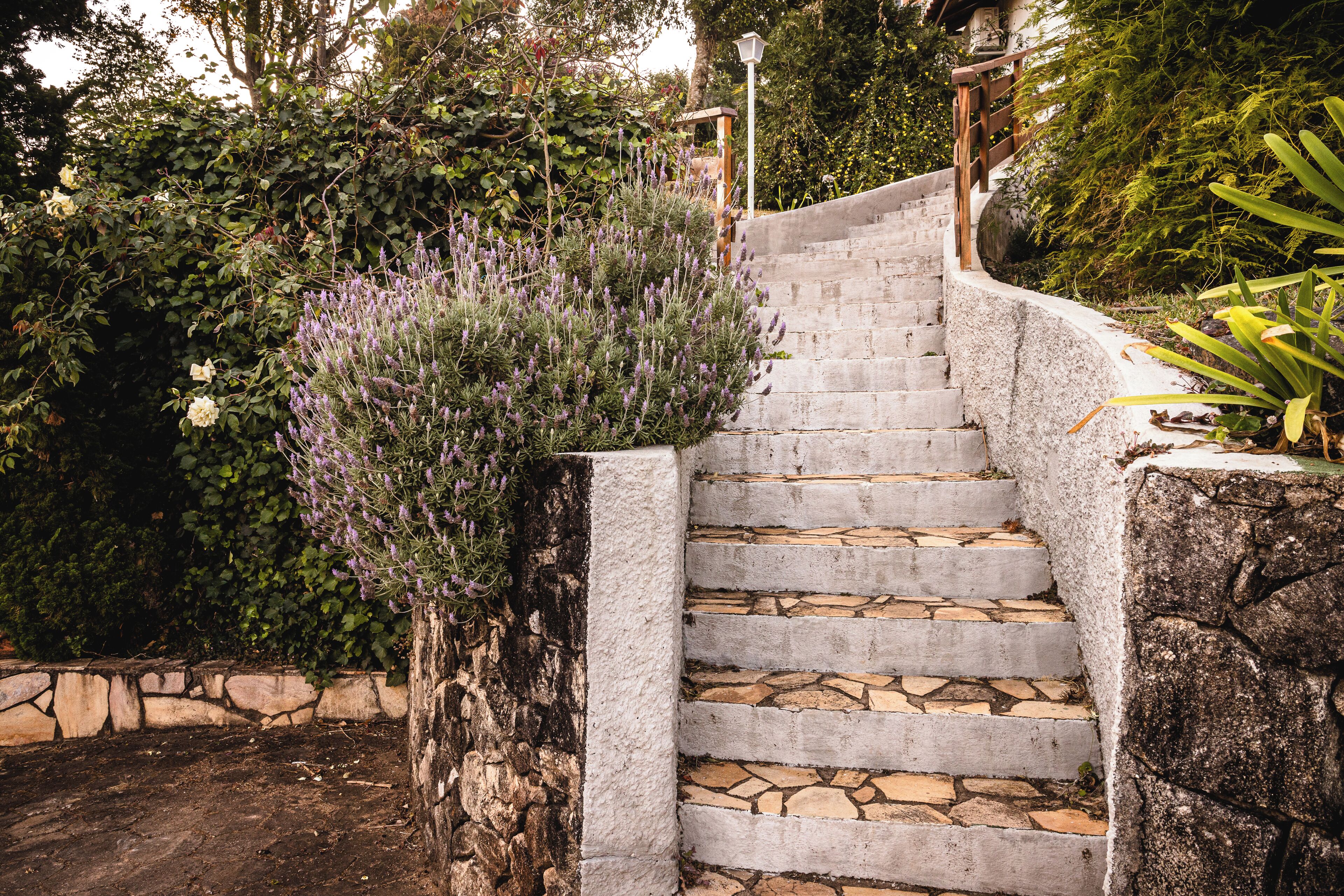 Foto - Hotel Meissner Hof