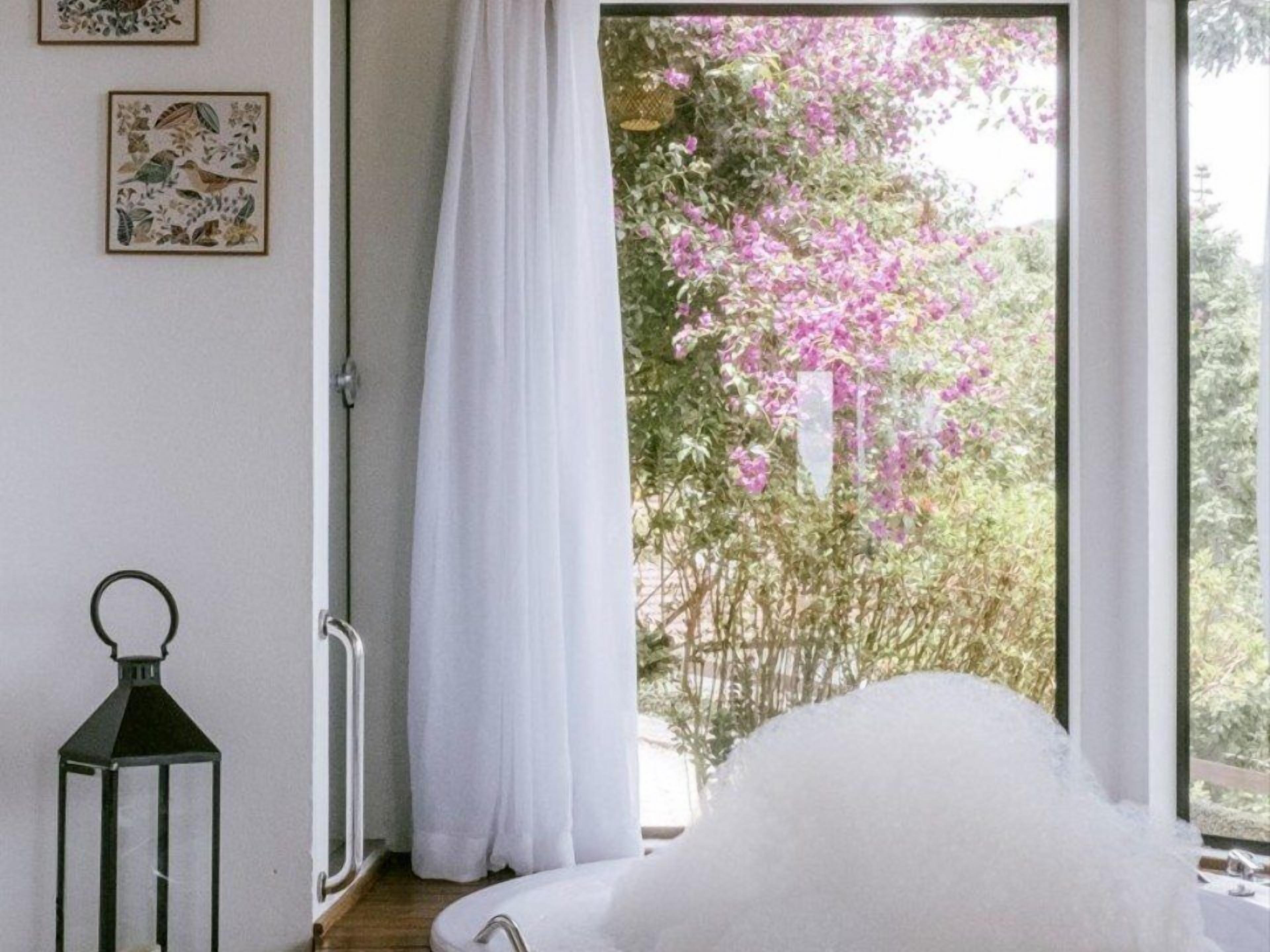 Foto - Hotel Meissner Hof