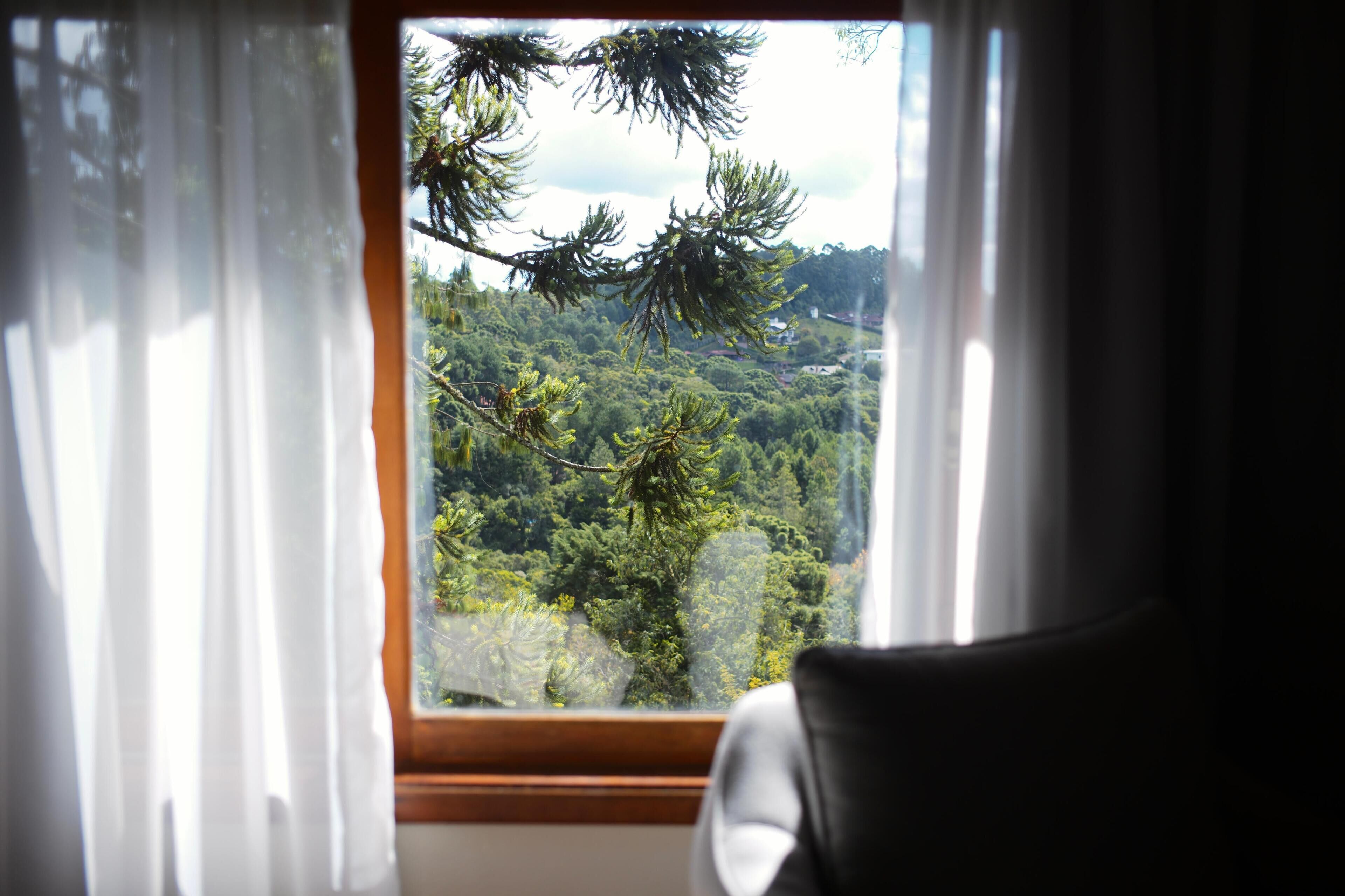 A window with white curtains, offering a view of a forested landscape.