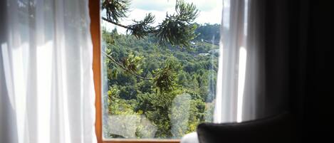 A window with white curtains, offering a view of a forested landscape.