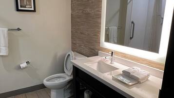 A modern bathroom with a toilet, sink, and mirror.