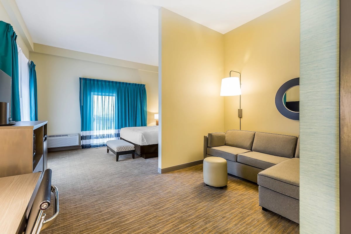 Une chambre d’hôtel avec un lit, un canapé, un bureau et une télévision.