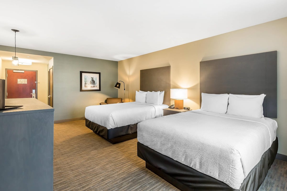 高級寢具、書桌、遮光窗簾/窗簾、熨斗/熨衫板