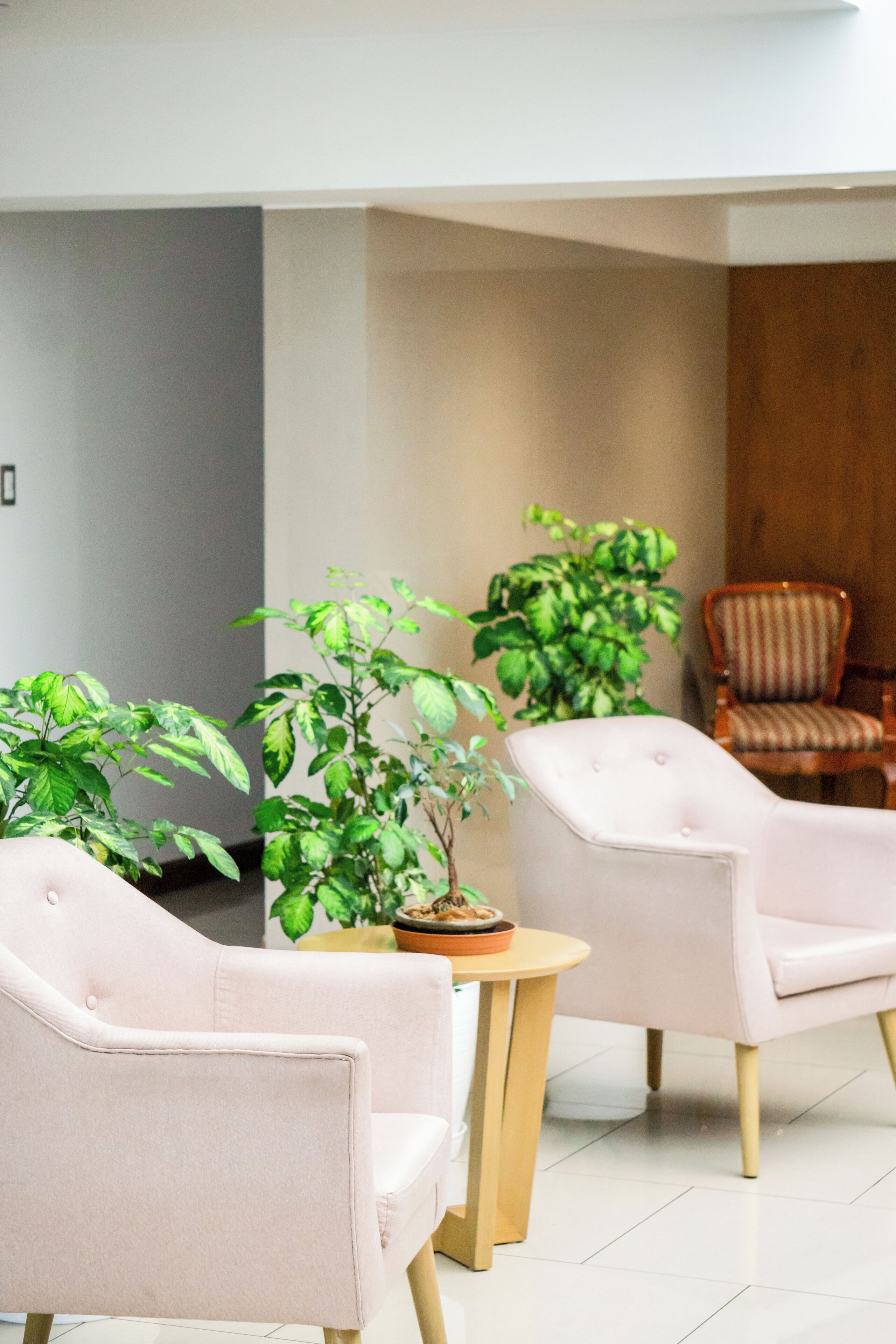 40-inch flat-screen tv with cable channels, tv