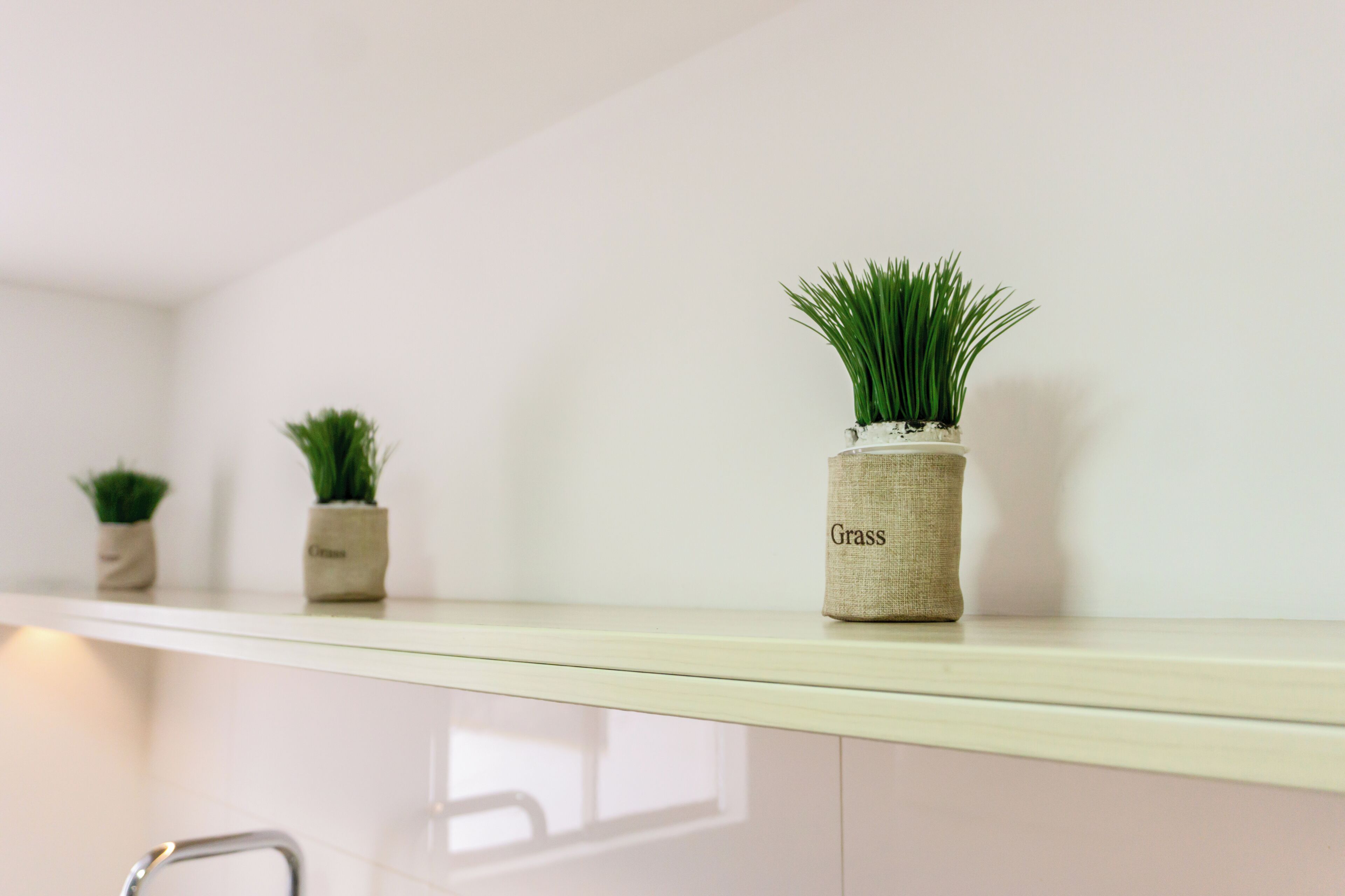 A kitchen shelf with three small potted plants labeled "Grass."